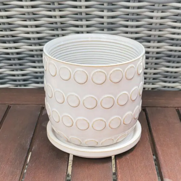Neutral dotted planter with drip tray