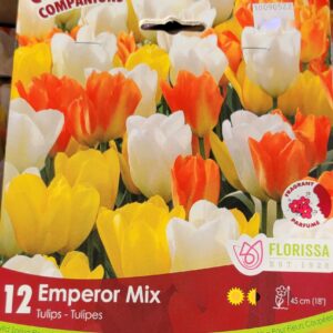 Tulips – Emperor Mix