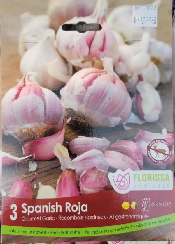 Spanish Roja Garlic (Hardneck)