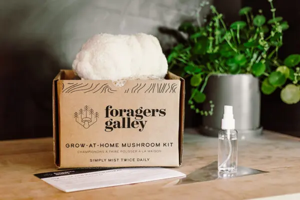 Grow At Home Mushroom Kit - Image 3