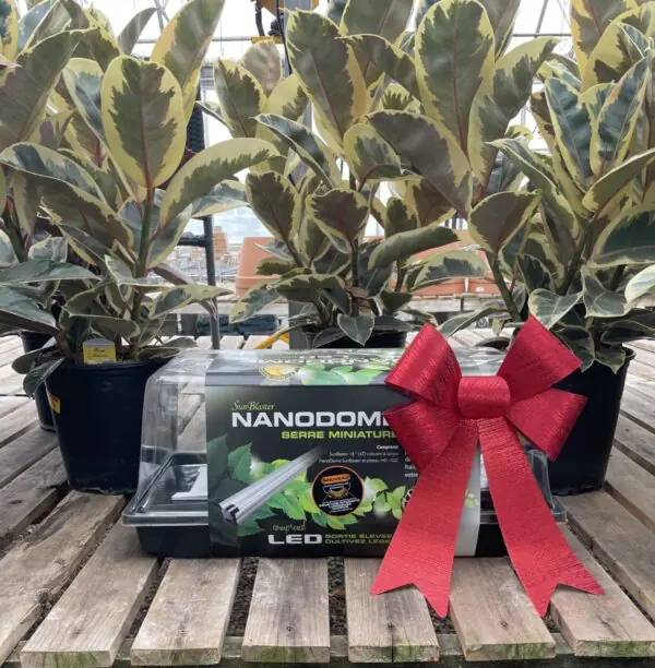 Sunblaster Nanodome Kit with LED Grow light