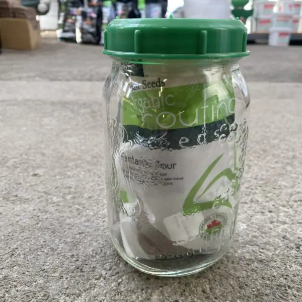 Sprouting Jar Kit - Plastic Lid (West Coast Seeds) - Image 3