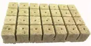 Rockwool Growing Media- Starter Cubes