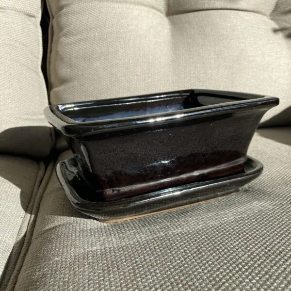 Bonsai Pot - Medium - Image 2