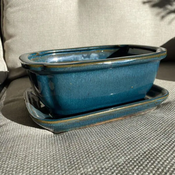 Bonsai Pot - Medium - Image 3