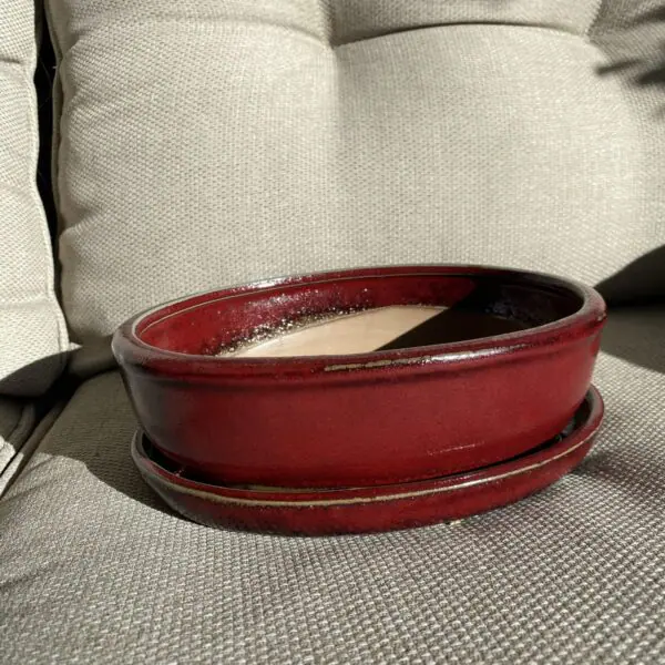 Bonsai Pot - Medium - Image 5