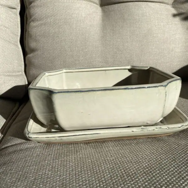 Bonsai Pot - Medium - Image 4