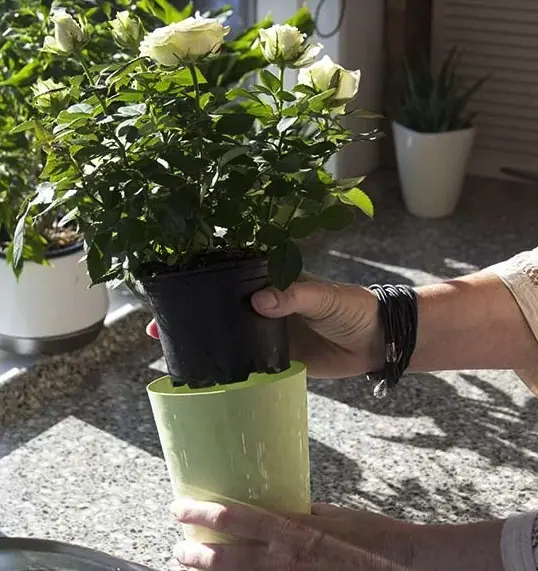 Easy-Water Long-Life (Self-Watering) Pot - Image 2