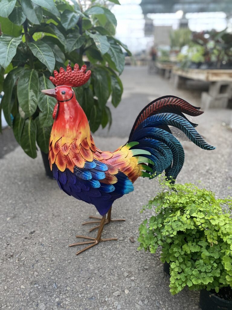 Rainbow Rooster Garden Figurine › Anything Grows