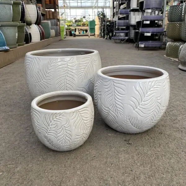 White Leaf Glazed Pots