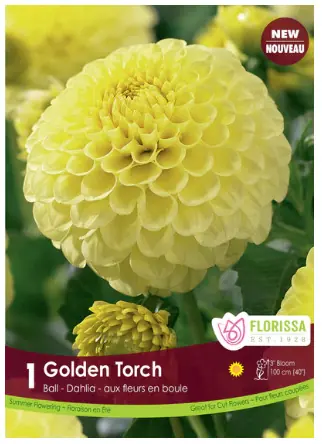 Golden Torch Dahlia Bulbs (1 pack)