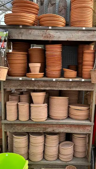 White Wash Terra Cotta Saucers