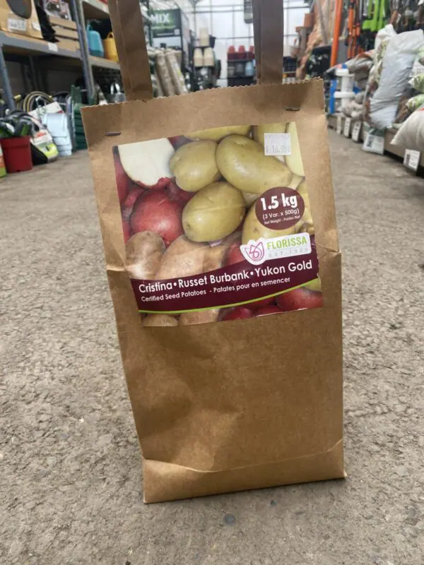 Cristina, Russet Burbank & Yukon Gold Seed Potato Combo Pack
