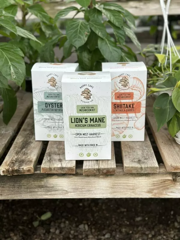 Grow Your Own Mushroom Kit