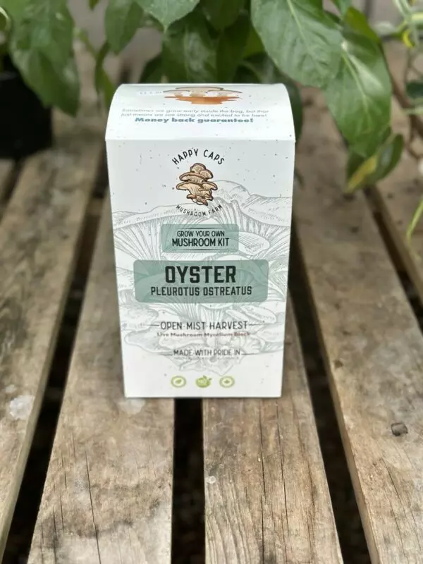 Grow Your Own Mushroom Kit - Image 2
