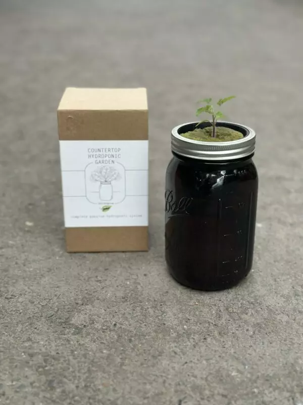 Gecko Grow Hydroponic Grow Jar
