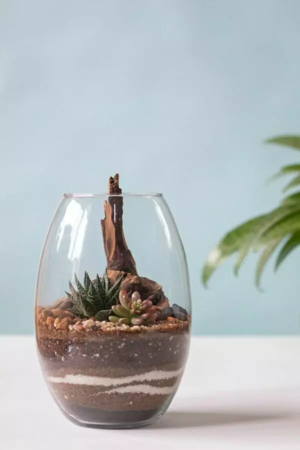 Build Your Own Terrarium Workshop