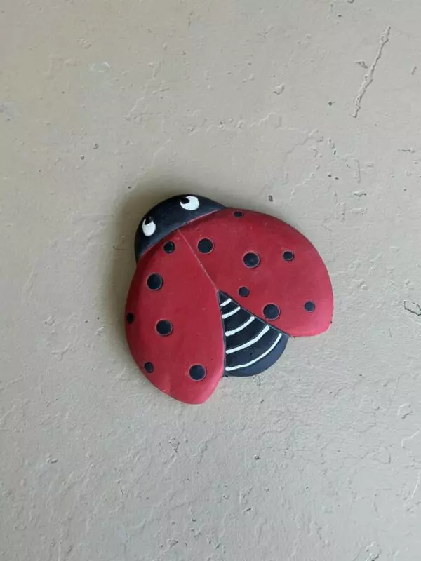 Lady Bug Stepping Stone