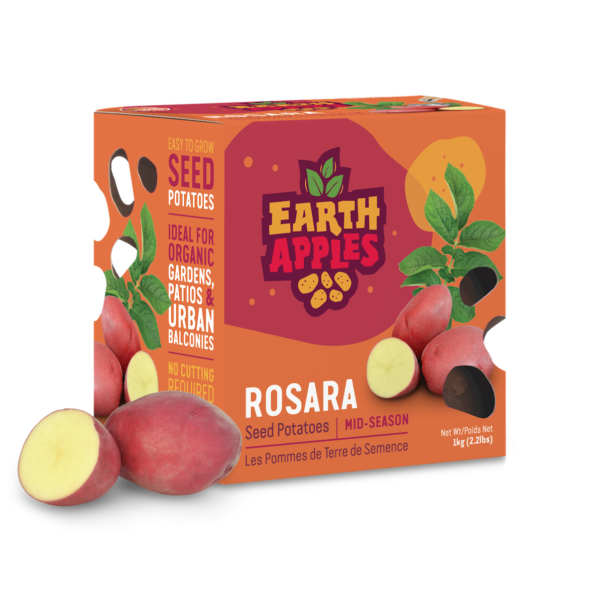 Rosara Earth Apples Seed Potatoes
