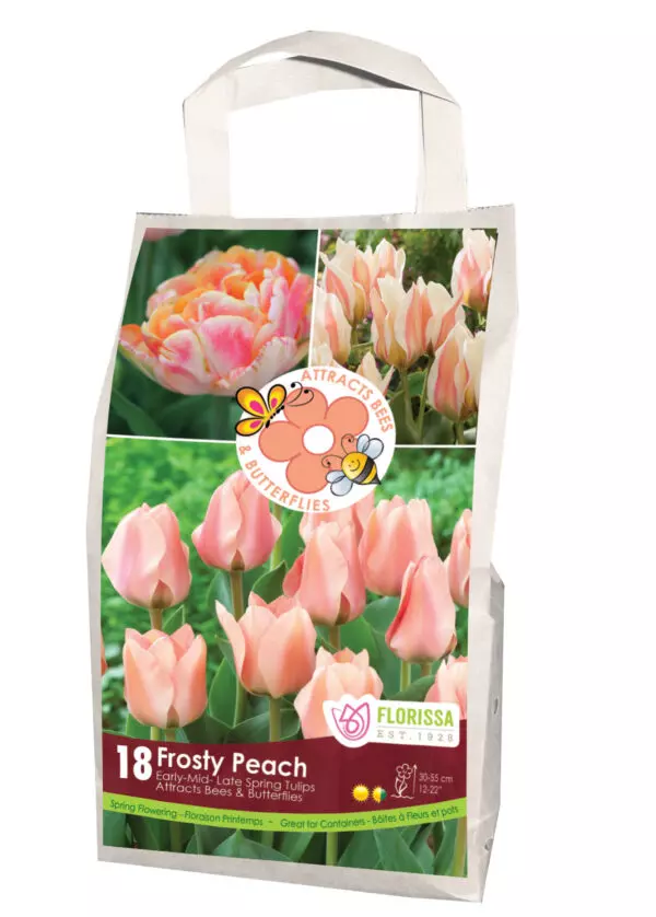 Feed the Pollinators 'Frosty Peach' (Bulk Pack)