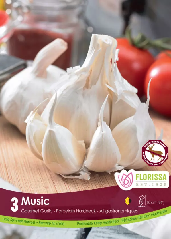 Music Garlic (Hardneck)