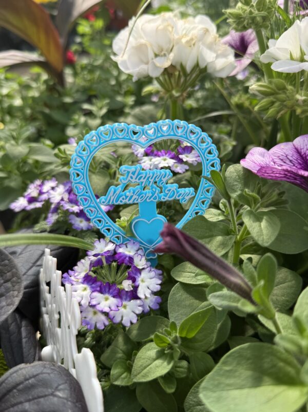 Mother's Day Patio Planters - Sun Loving Mix - Image 2