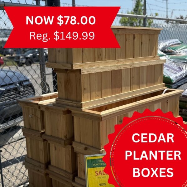 Cedar Window Boxes (Locally Made)