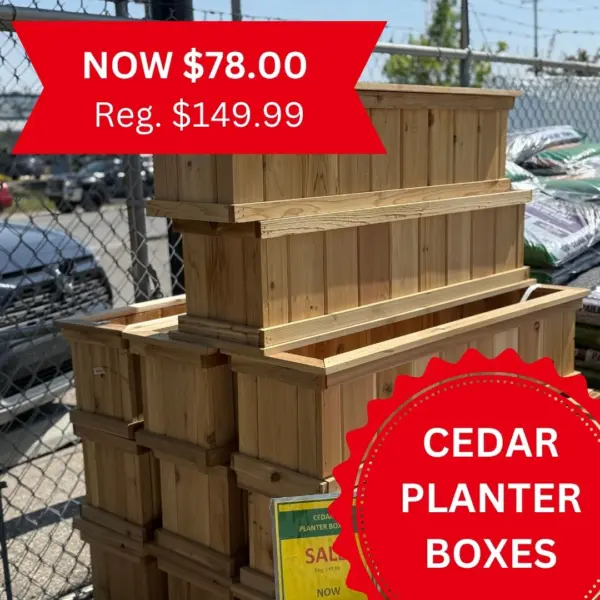 Cedar Window Boxes (Locally Made)